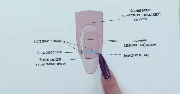 Болезни ногтя - самые частые жалобы